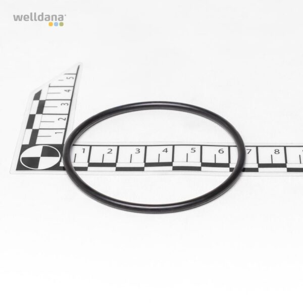 O-ring. IMage® Pool Heater Klemkasse / element.
