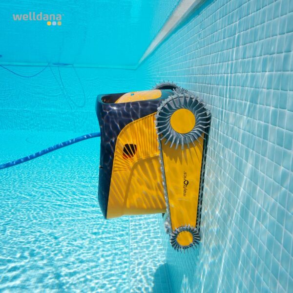 Dolphin Wave 90i EU