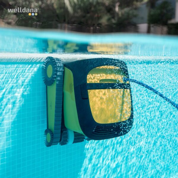 Dolphin Wave 90i EU