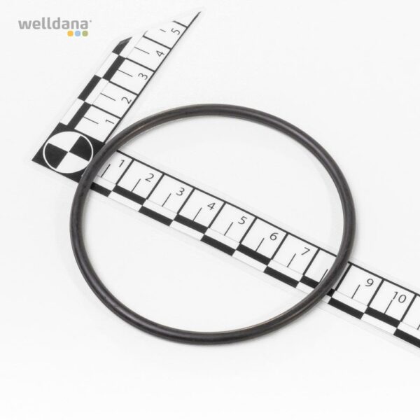 O-Ring til Difusor f. InverPro pumpe