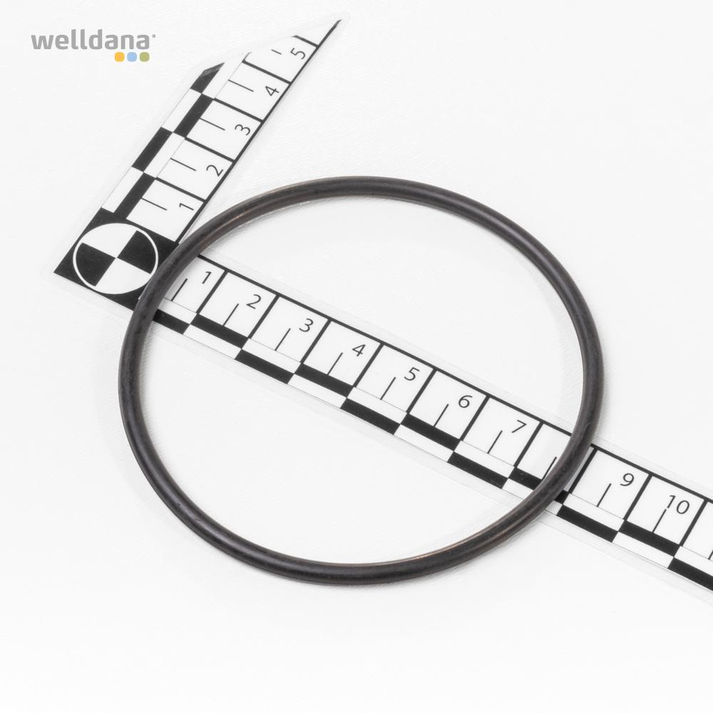 O-Ring til Difusor f. InverPro pumpe