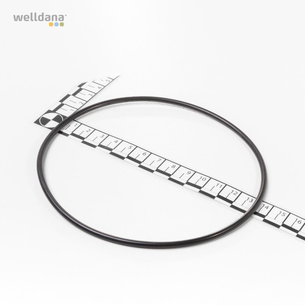 O-Ring f. forfilter låg AquaGem pumpe