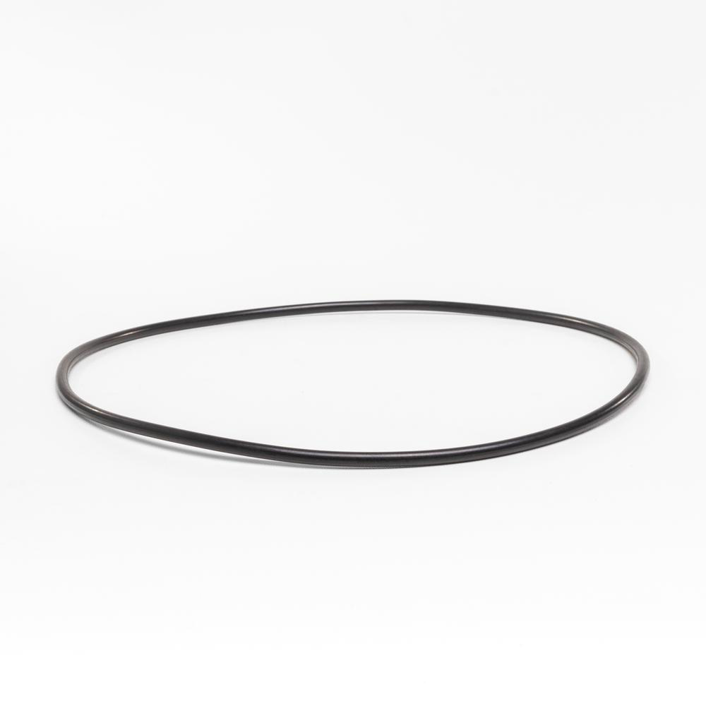 O-Ring mellem motor og vådende  InverPro pumpe   No 20