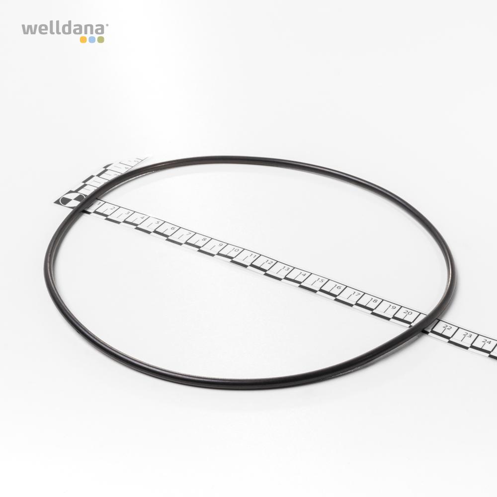 O-Ring mellem motor og vådende  InverPro pumpe   No 20