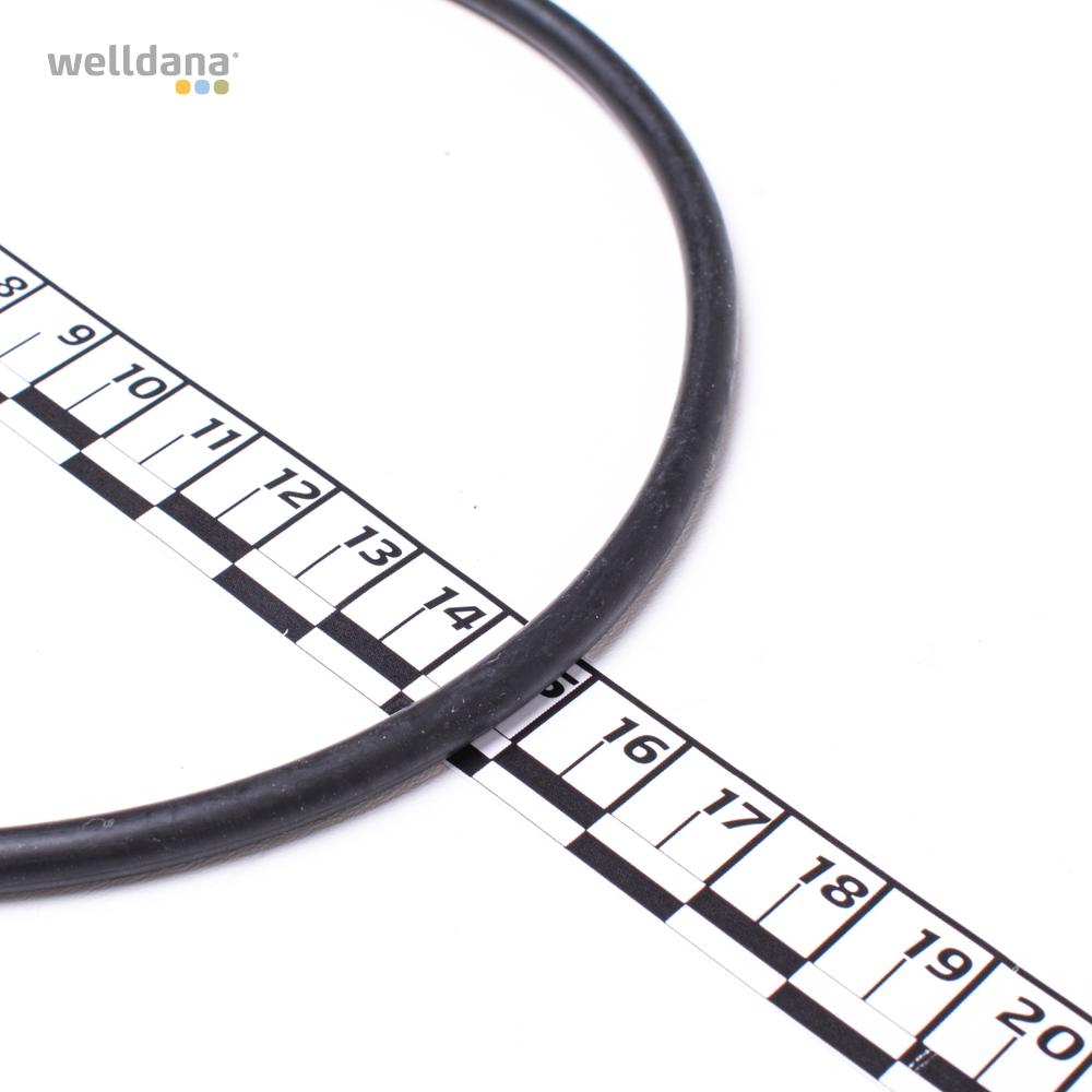 O-ring til forfilter BADU 90 + BADU 90 Eco VS