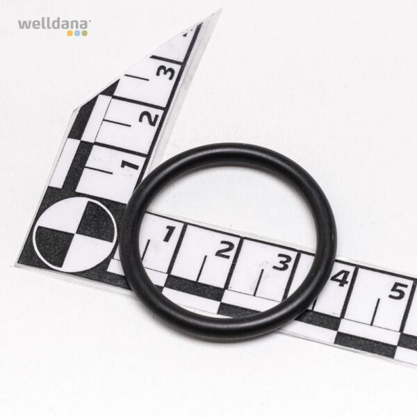 O-ring f. Filterhus  DA-GEN
