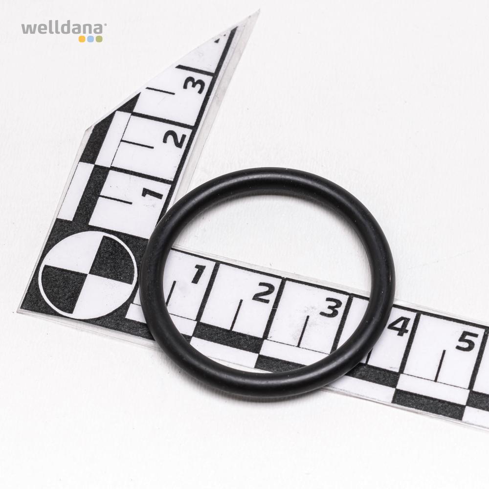 O-ring f. Filterhus  DA-GEN