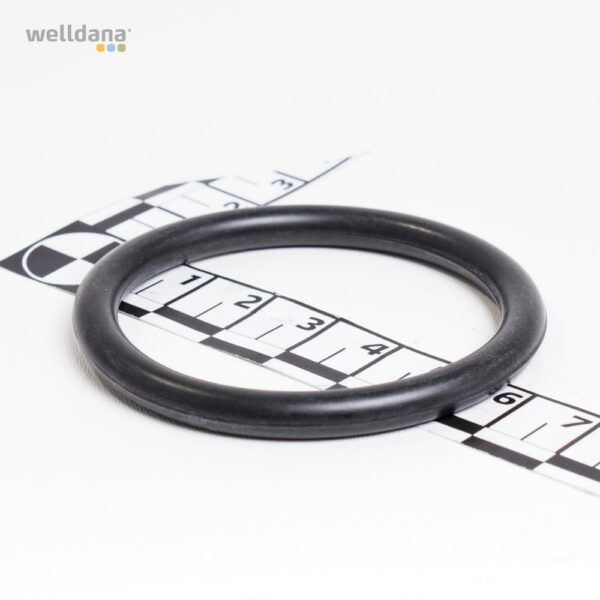 O-ring til solarventil Gl. / ny model