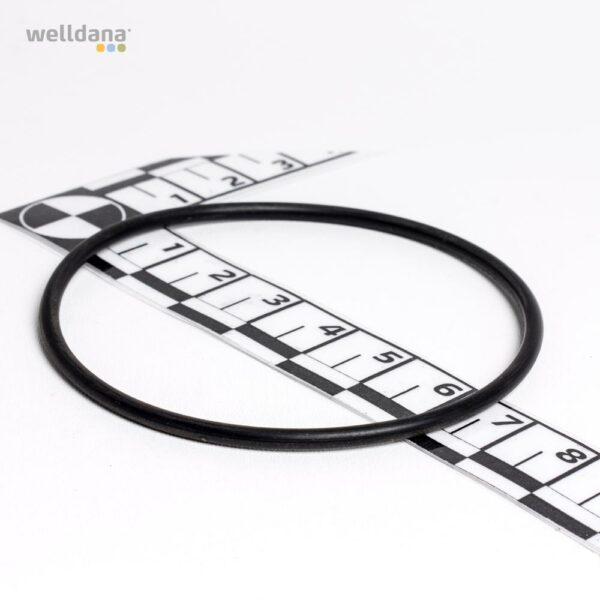O-ring til filter rør 50 mm Welldana® Sandfilter
