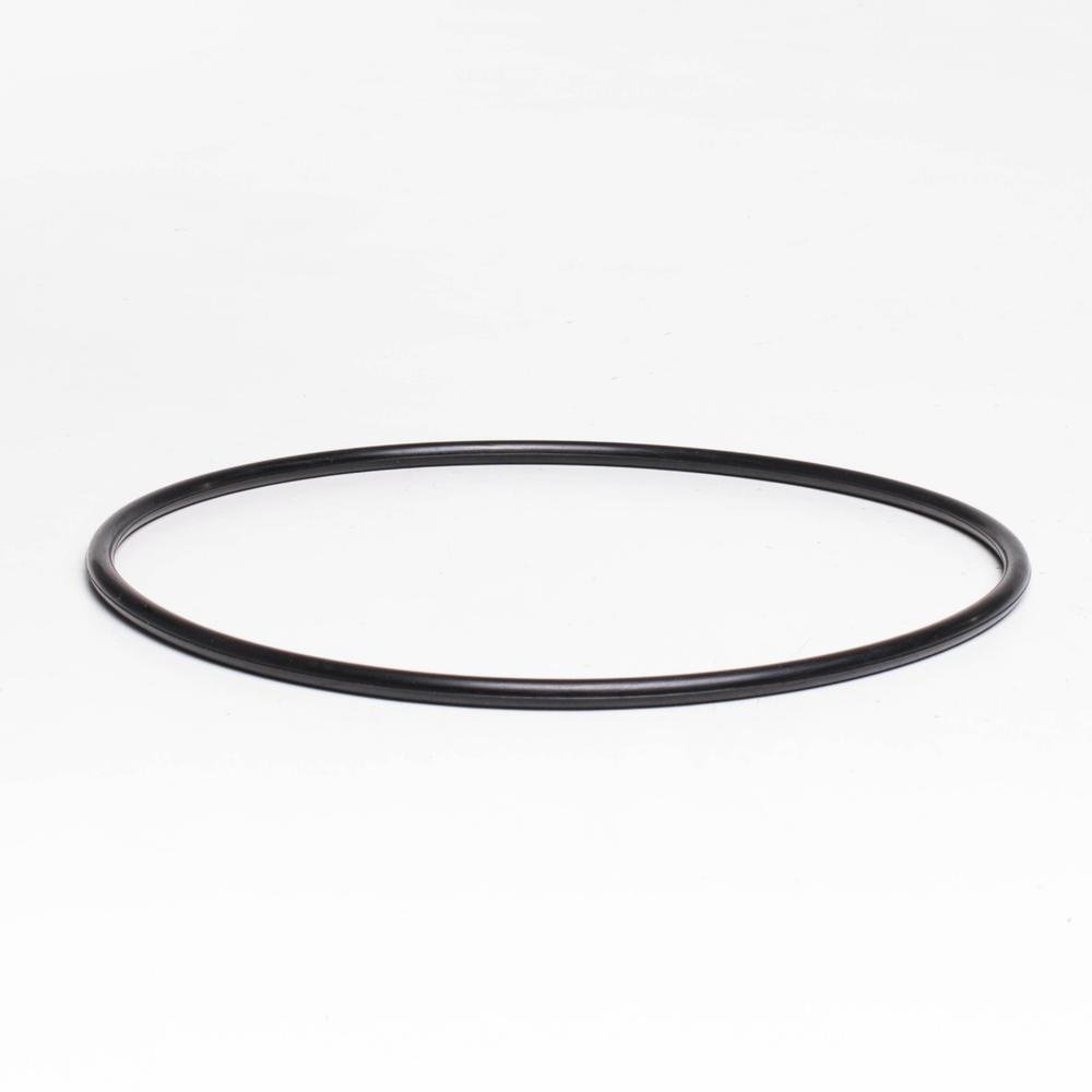 O-ring f. låg 2" topventil Welldana filter