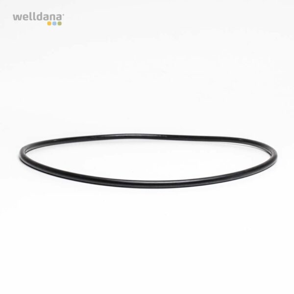 O-ring t/ forfilter 4L øD215 6mm