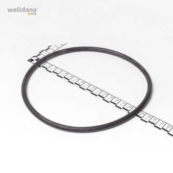 O-ring f. top ventil Bilbao filter