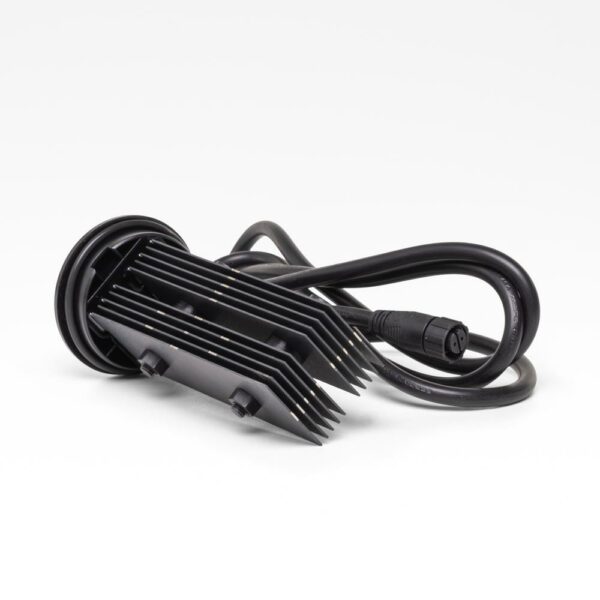 Cell. 22g/t Mister Pure