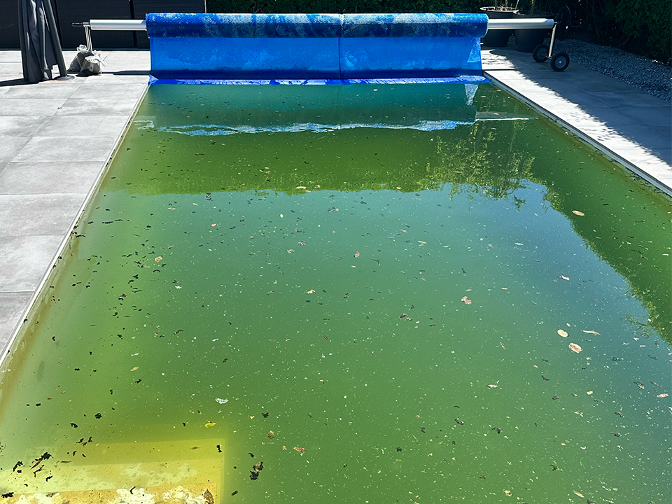 Problemvand i swimmingpoolen er noget som Pool Eksperten sagtens kan hjælpe dig med.